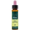 ELIXIR FLORAL 37 ROSA SIL 10Ml. PLANTIS