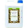 ACEITE DE ALMENDRAS DULCES 5L DRASANVI