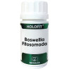 HOLOFIT BOSWELLIA FITOSOMADA 50 CAPSULAS EQUISALUD