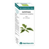 BIO ESSENTIAL OIL RAVINTSARA 10Ml. EQUISALUD