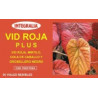 VID ROJA PLUS 20 VIALES INTEGRALIA