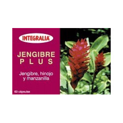 JENGIBRE PLUS 60 CAPSULAS INTEGRALIA