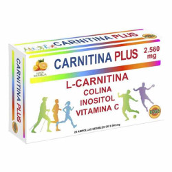 CARNITINA PLUS 20 AMPOLLAS ROBIS