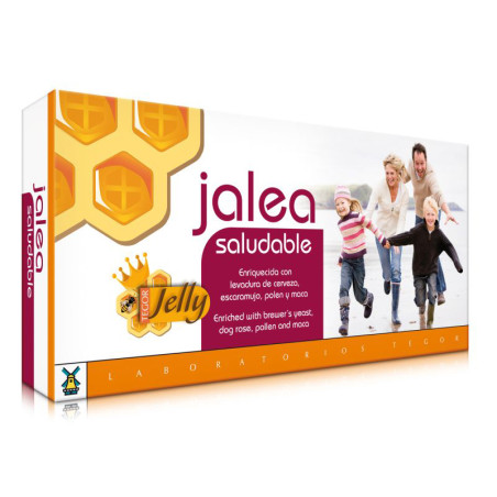 JALEA SALUDABLE 20 VIALES DE 10ML. TEGOR