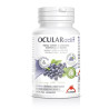 OCULARACTIF 45 CAPSULAS INTERSA