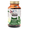 MORINGA ECO 90 CAPSULAS ORO DE LOS ANDES