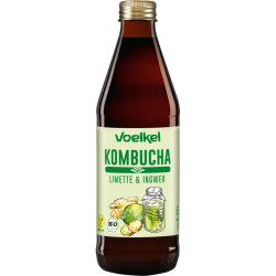 KOMBUCHA LIMA Y JENGIBRE 330Ml. VOELKEL