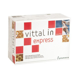 VITTA IN EXPRESS 20 VIALES 10Ml. PLAMECA