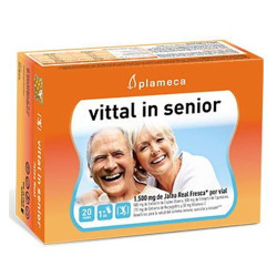 VITTAL IN SENIOR 20 VIALES PLAMECA