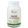 FUCUS 100 COMPRIMIDOS PLANTA POL