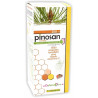 PINOSAN 250Ml. PINISAN