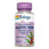 MASTIC GUM 500Mg. 45 CAPSULAS VEGETALES SOLARAY