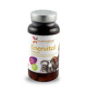 ENERVITAL CANOSIN 60 CAPSULAS MUNDO NATURAL