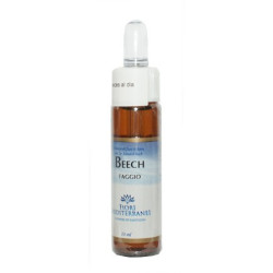 FM BEECH (HAYA) 10Ml. FORZA VITALE