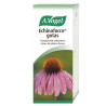 ECHINAFORCE 50Ml. A. VOGEL (BIOFORCE)